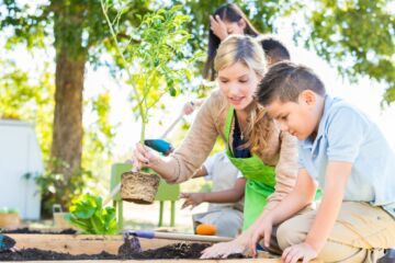 Zen and the Art of School Gardening